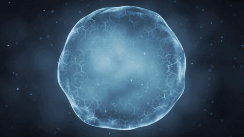 生物试剂直销与代理：背后的差异与考量