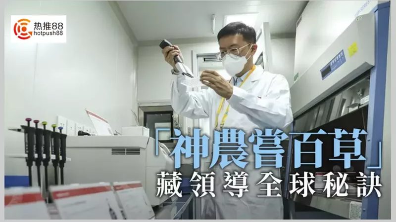 肿瘤基因检测流程步骤详解：从样本处理到结果解读