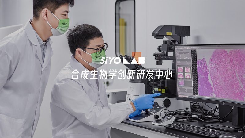 PCR克隆试剂：揭秘其核心原理与选型关键