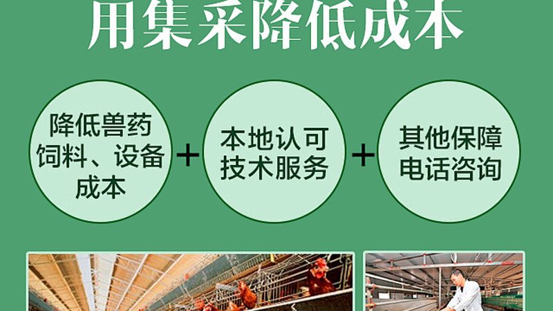 生物医药制剂OEM生产流程揭秘：从源头把控质量**