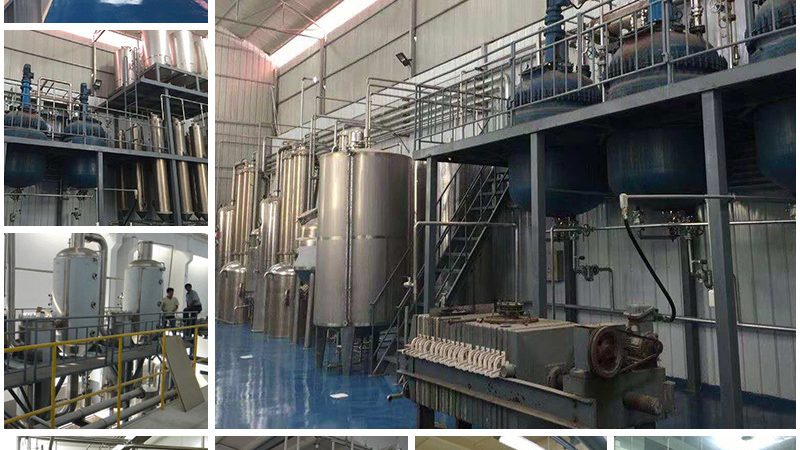 哺乳动物细胞培养pH值控制：精准调控，保障实验成功**