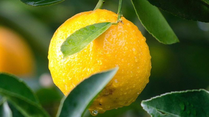 成都定制生物科技发酵罐：揭秘其价格背后的价值**