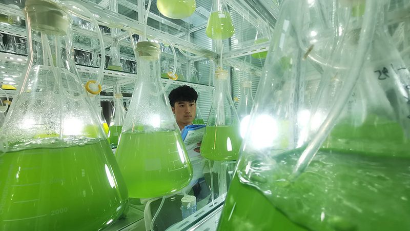 2025年，生物科技公司注册流程解析：合规与效率的平衡之道**